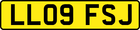 LL09FSJ
