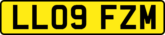 LL09FZM