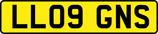 LL09GNS