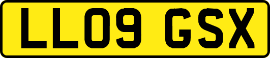 LL09GSX