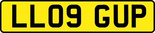 LL09GUP