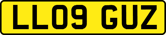 LL09GUZ