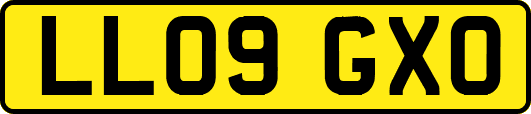 LL09GXO