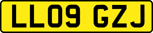 LL09GZJ
