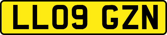 LL09GZN