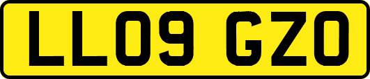 LL09GZO
