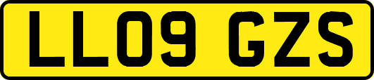 LL09GZS