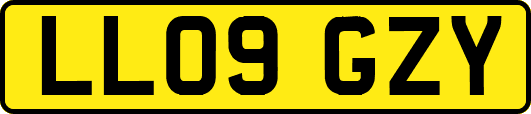 LL09GZY