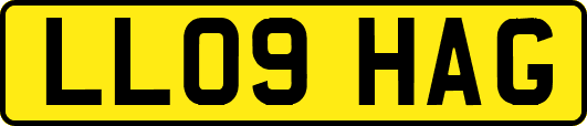 LL09HAG