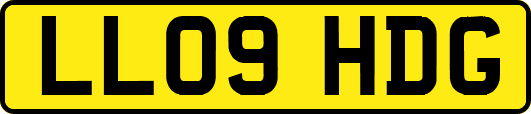 LL09HDG