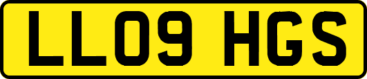 LL09HGS