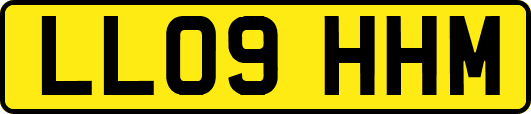 LL09HHM