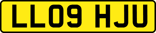 LL09HJU