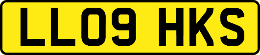 LL09HKS