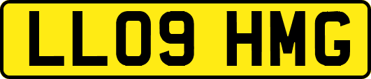 LL09HMG