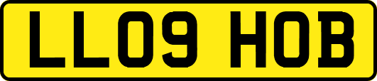LL09HOB