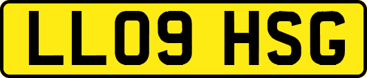 LL09HSG