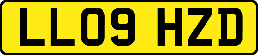 LL09HZD