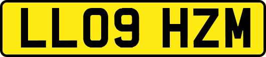 LL09HZM