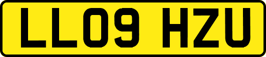 LL09HZU