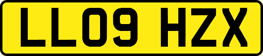 LL09HZX
