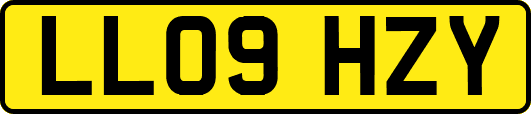 LL09HZY