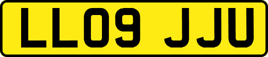 LL09JJU