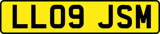LL09JSM