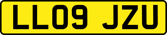 LL09JZU