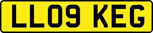 LL09KEG