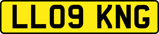 LL09KNG
