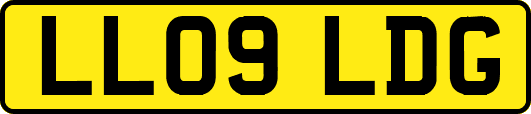 LL09LDG