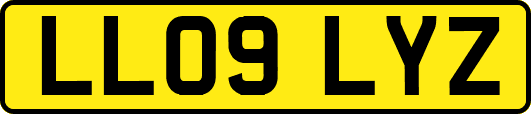 LL09LYZ