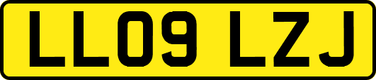 LL09LZJ