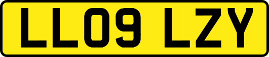 LL09LZY