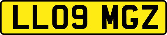 LL09MGZ