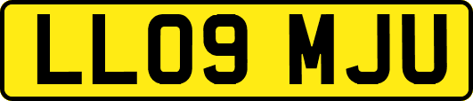 LL09MJU