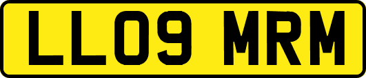 LL09MRM