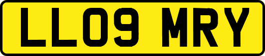 LL09MRY