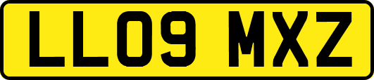LL09MXZ