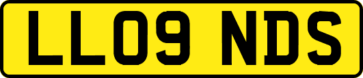 LL09NDS