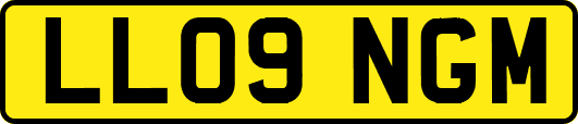 LL09NGM