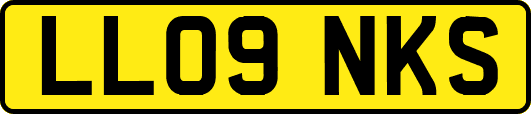 LL09NKS