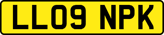 LL09NPK