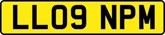 LL09NPM