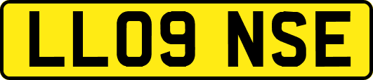LL09NSE