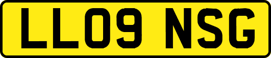 LL09NSG