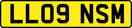 LL09NSM