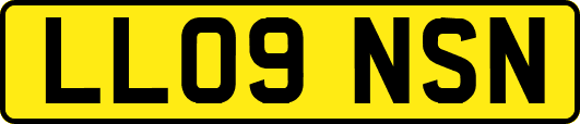 LL09NSN