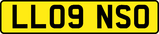 LL09NSO